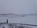 Bordalba nevado 3