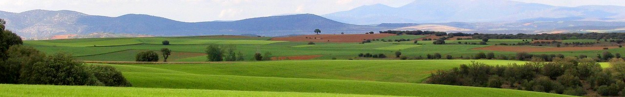 Bordalba – Asociación Cultural "La Muriega"