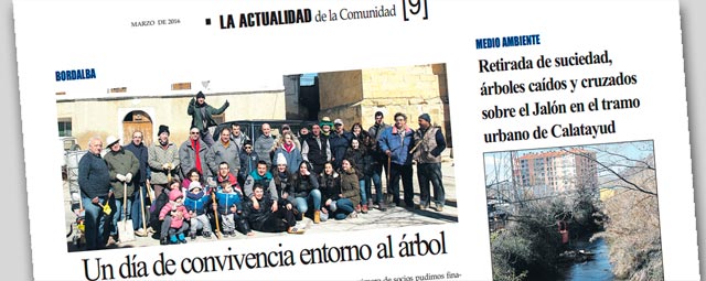 Un día de convivencia entorno al árbol