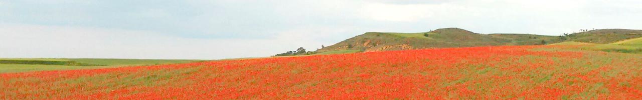 Bordalba – Asociación Cultural "La Muriega"